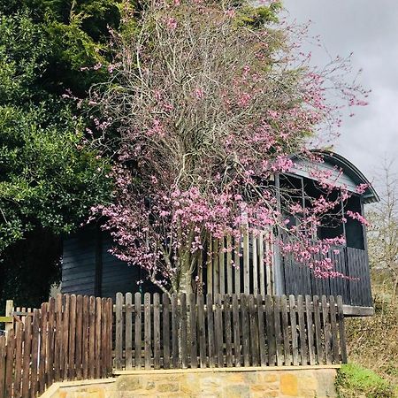 The Cherry Tree Gypsy Wagon 밴베리 외부 사진
